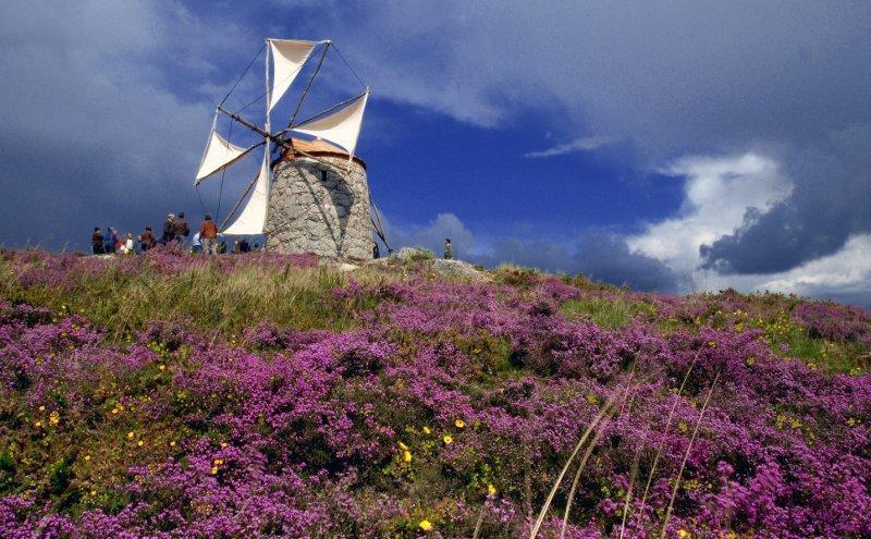 Casa De Campo Sossego Da Lata Fafe Εξωτερικό φωτογραφία