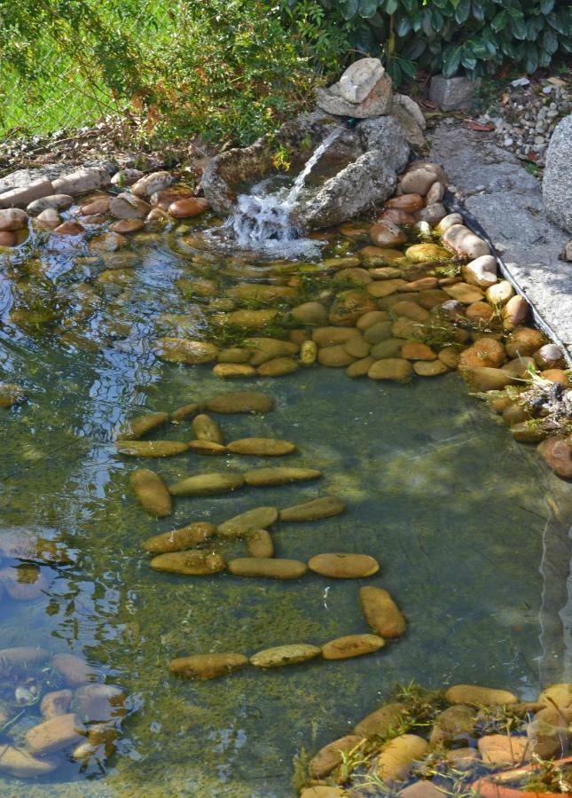 Casa De Campo Sossego Da Lata Fafe Εξωτερικό φωτογραφία